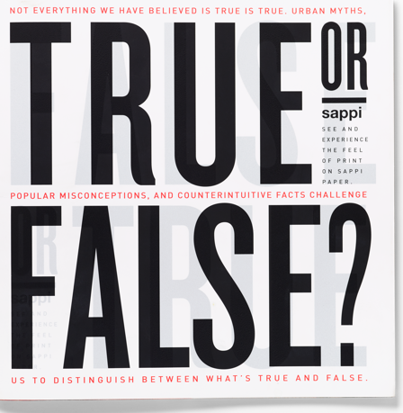 Paper True or False Book