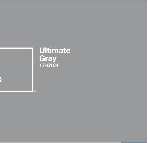 Some have suggested that Ultimate Gray should have been for 2020 