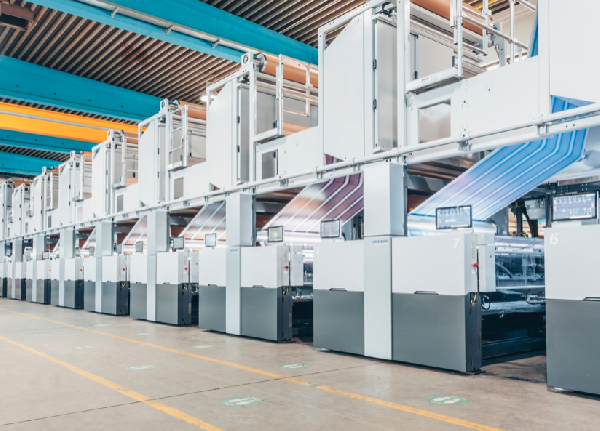 New Boardmaster flexographic web press.