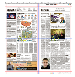 Page numbering is available in the Form View